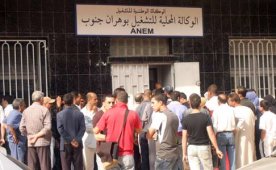 وكالة دعم التشغيل تمول أزيد من 650 مشروع بمستغانم