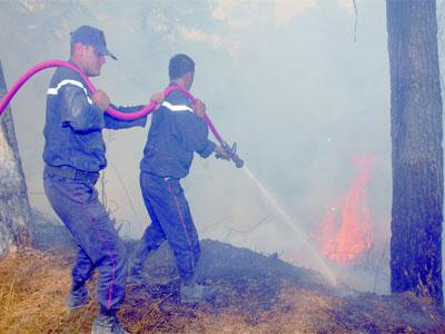 Plus de 76 500 hectares incendiés en deux mois                                    Mobilisation pour la lutte contre les feux de forêts