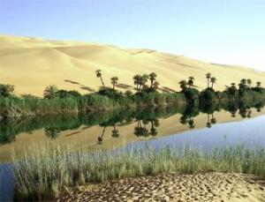 الواحات والمساحات الخضراء في تناقص مستمر بأدرار                                    محافظة الغابات في قفص الاتهام