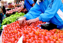 Les produits agricoles bio très prisés chez nos voisins du Sud                                    Intérêt grandissant des entreprises algériennes pour le marché africain subsaharien