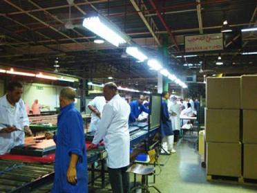 Pres d'un million d'entreprises recensées en Algérie, Sétif occupe le 3e rang économique du pays