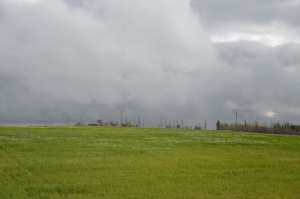 Le Sersou céréalier.