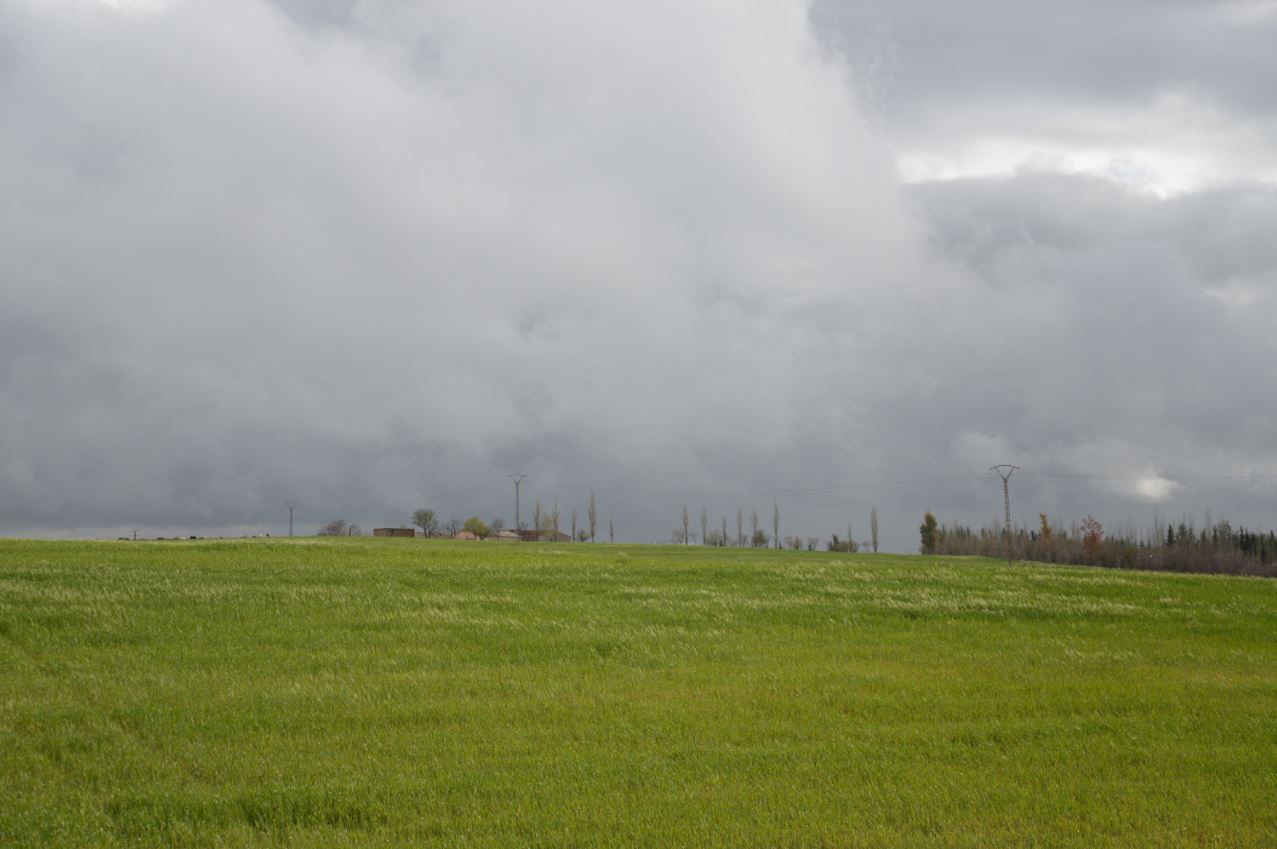 Le Sersou céréalier.