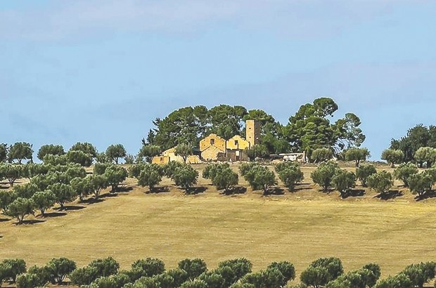 Les fermes coloniales valorisées pour le tourisme rural
