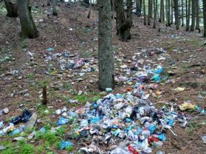 Tlemcen - Des espaces verts à réhabiliter