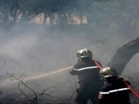 Plus de 480 hectares de couvert végétal ravagés par les incendies à Bouira