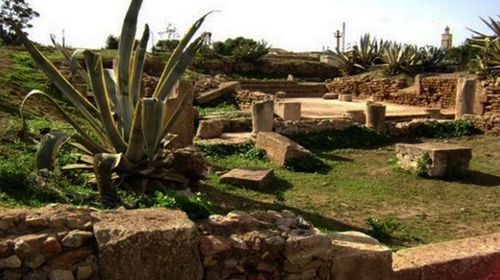 Les habitants de Bethioua découvrent le site romain Portus Magnus