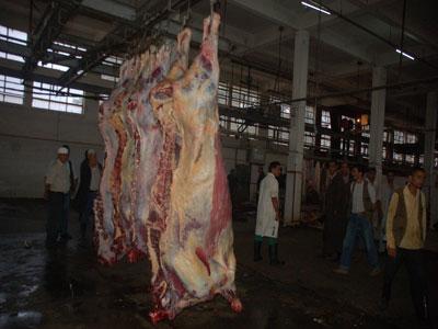 De plus en plus de travail et des vétérinaires de plus en plus disponibles                                    FONCTIONNEMENT DES ABATTOIRS DANS LA WILAYA DE TIZI OUZOU