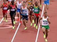 Taoufik Makhloufi impressionnant, passe en demi-finale du 1500 m