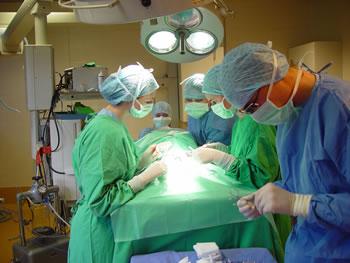 Plus de 970 greffes réalisées en 2011                                    TRANSPLANTATION D'ORGANES EN ALGERIE