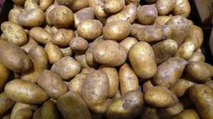 Les pratiques spéculatives persistent