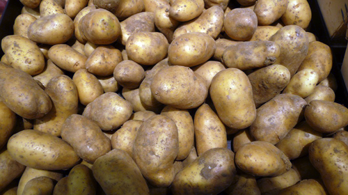 Les pratiques spéculatives persistent