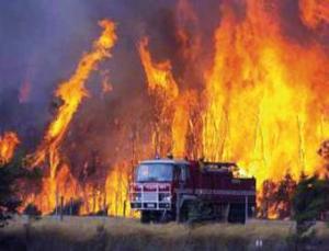 1400 حريق التهمت غابات الجزائر منذ بداية الصيف                                    مصرع شخصين بسوق أهراس