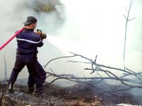 Deux décès et un blessé parmi les pompiers                                    Incendie à Souk Ahras