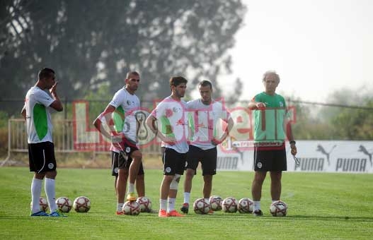 Halilhodzic confirme le stage des locaux à partir du 22 août