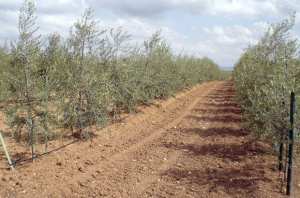 Des réalisations en deçà des prévisions