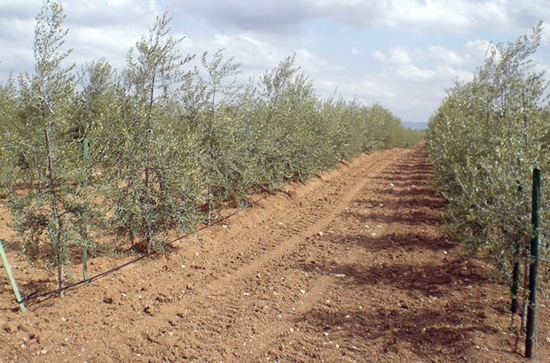 Des réalisations en deçà des prévisions