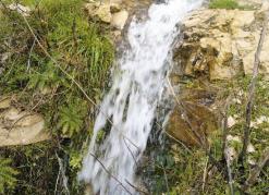 ينابيع لا تجف لملتقى العائلات وزواج الفتيات في المدية                                    وديان فياضة تمر تحت المدينة