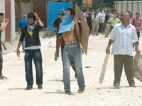 Elles se multiplient dangereusement                                    Le temps des batailles rangées