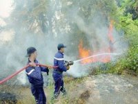 Plusieurs incendies aggravent la vague de chaleur à Skikda
