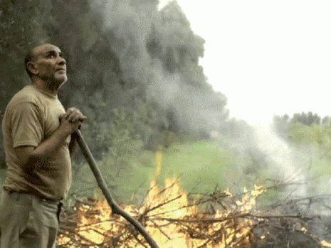 Participation de deux films algériens