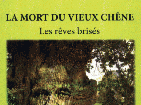 Une histoire romancée