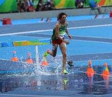Omnisports / Athlétisme - 3 000m steeple - marathon