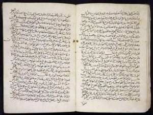 Enquête dans le domaine du manuscrit