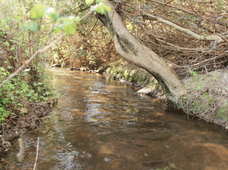 Balade autour de la légendaire «rigole du roi»