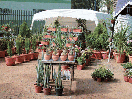 Jardin de Mdina Jdida