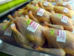 الاغواط.. انخفاض ملحوظ في أسعار اللحوم البيضاء بالأسواق