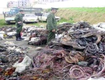 2 مليون دينار قيمة الخسائر الناجمة عن سرقة الكوابل الكهربائية في تيبازة                                    الظاهرة تزايدت إثر ارتفاع سعر النحاس