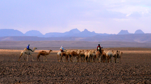 Les parcs culturels du Tassili N'Ajjer et de l'Ahaggar