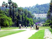 Ces « poumons » qui manquent d'aires                                    Espaces verts