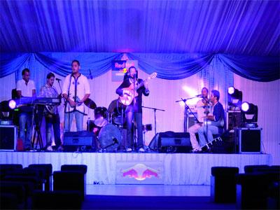 Victimes ou coupables '                                    Beaucoup d'artistes algériens se font arnaquer