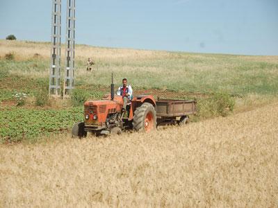 La mécanisation agricole en voie de réhabilitation                                    Les entreprises de la filière seront mises sous un groupement d'intérêt commun