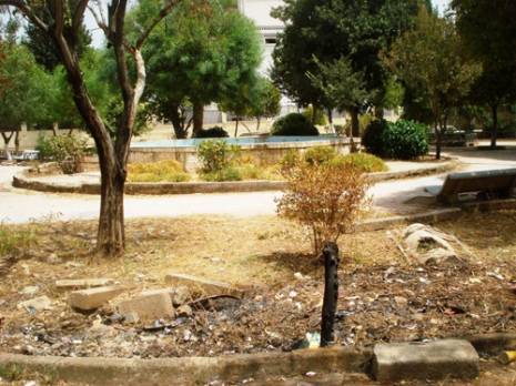 Espaces verts à Guelma : une dégradation consommée                                    Actualité