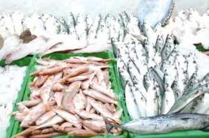 Jijel célèbre la fête du poisson