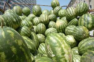 ارتفاع قياسي مرتقب لأسعار  الدلاع  قبيل رمضان بالوادي