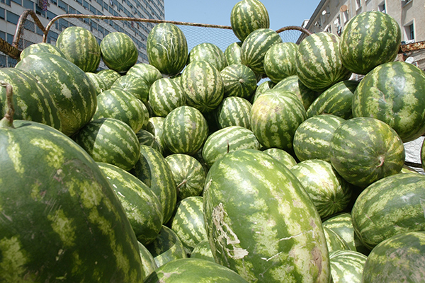 ارتفاع قياسي مرتقب لأسعار 