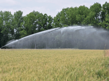 Le spectre d'une année blanche inquiète les agriculteurs
