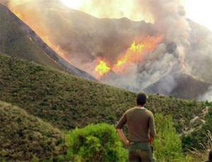 حريق مهول يتلف 15 هكتارا من غابة ساسل السياحية في عين تموشنت                                    بسبب موجة الحر العالية وأسباب أخرى