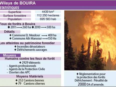 Wilaya de Bouira : le patrimoine forestier en péril                                    Bouira : les autres articles