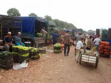 Oran - Ramadhan / prix des fruits et légumes