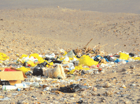 Plus de deux quintaux récoltés par les citoyens