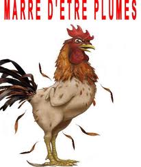 Plainte à Strasbourg contre « l'entente illicite » des compagnies Air Algérie-Aigle Azur.