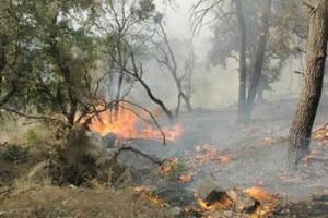 On étouffe dans les communes de Béjaïa                                    ALORS QUE LES FLAMMES RAVAGENT LES FORÊTS