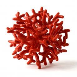 القبض على عناصر شبكة مختصة في تهريب المرجان                                    بعد حجز قنطار منه بالطارف