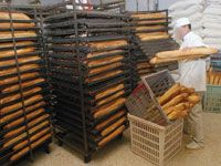 Groupes électrogènes pour les boulangers                                    L'opération ne fait pas l'unanimité à Oran