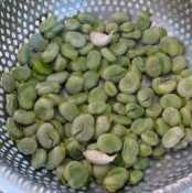 FOUL M'BAKHER - FEVES A LA VAPEUR